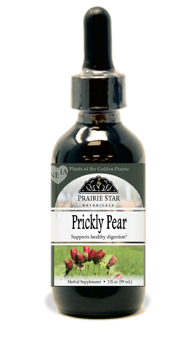 All About Prickly Pear Oil – Botanics Anthem