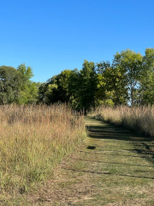 Our Journey Into Autumn