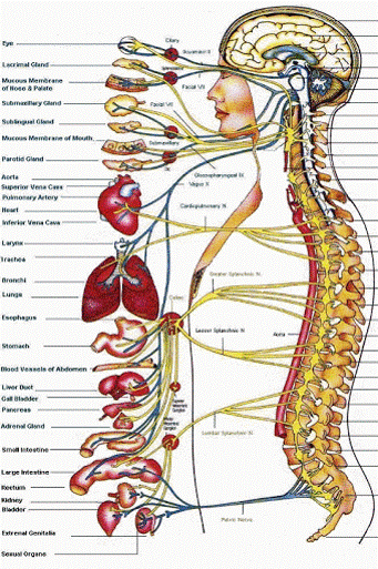 (Spinal) Communications