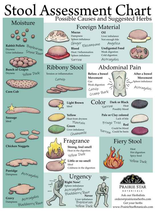 The Importance of the Taboo: Poop