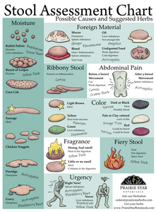 The Importance of the Taboo: Poop