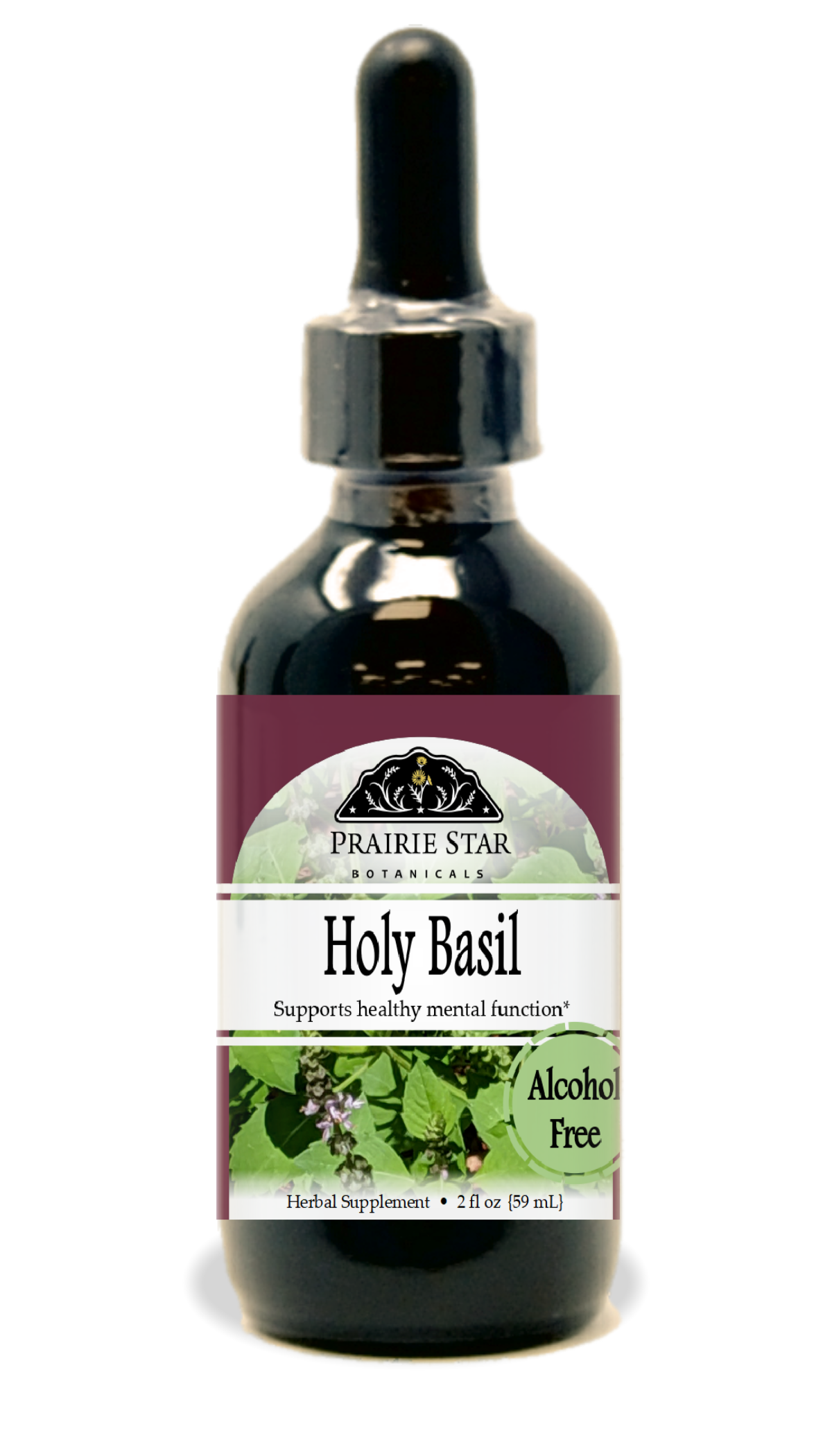 Holy Basil (Tulsi)