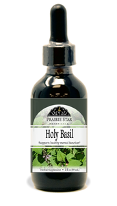 Holy Basil (Tulsi)