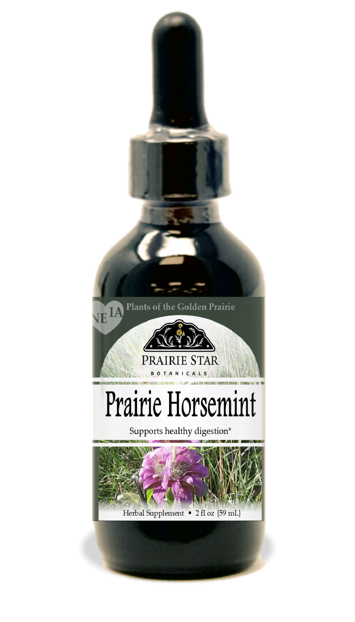 Prairie Horsemint