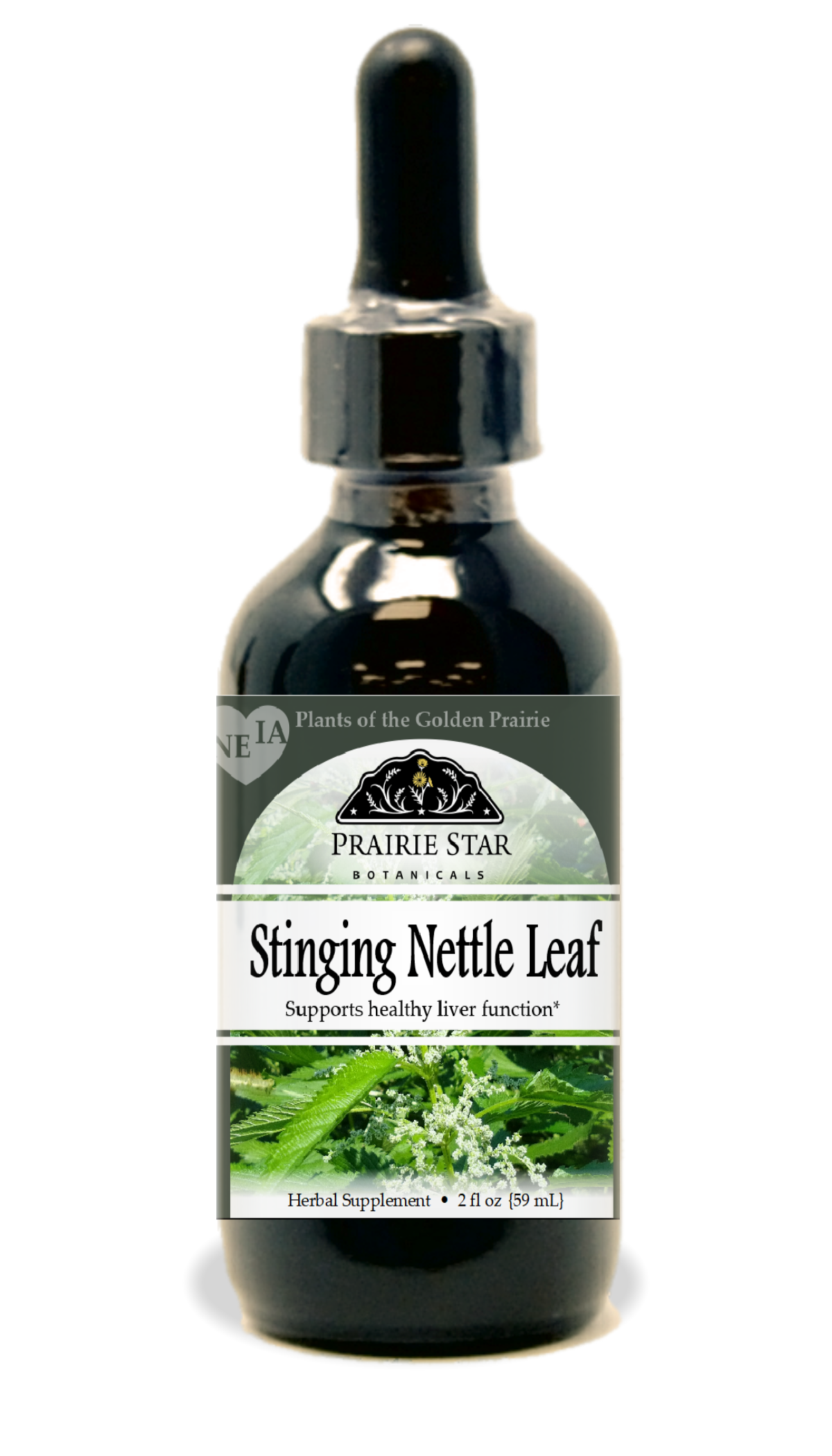 stinging nettle herbicide control Stinging Nettle – Prairie Star Botanicals